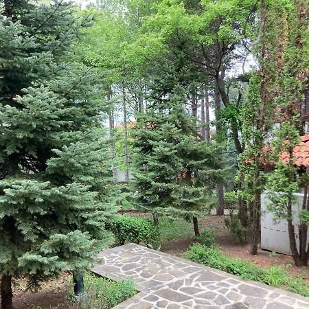 Lovely Apartment Santa Marina Süzebolu Dış mekan fotoğraf