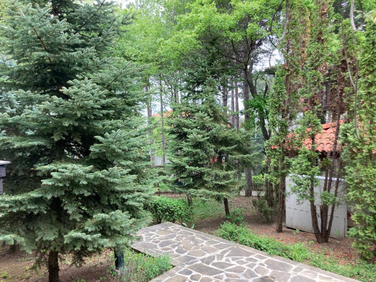Lovely Apartment Santa Marina Süzebolu Dış mekan fotoğraf
